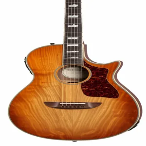 acoustic guitar